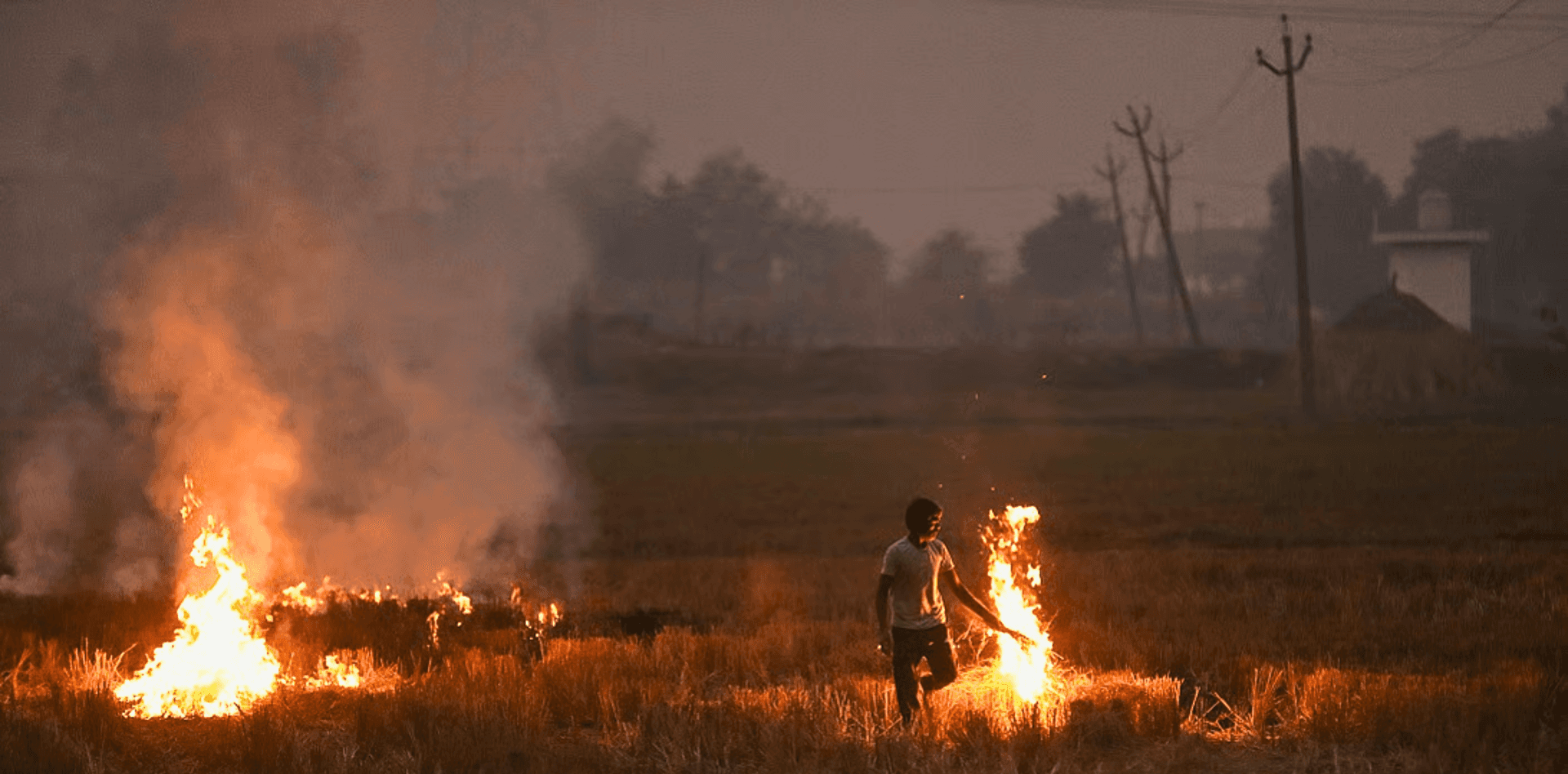 Punjab Chokes as Stubble Fires Push AQI to ‘Severe’ Levels