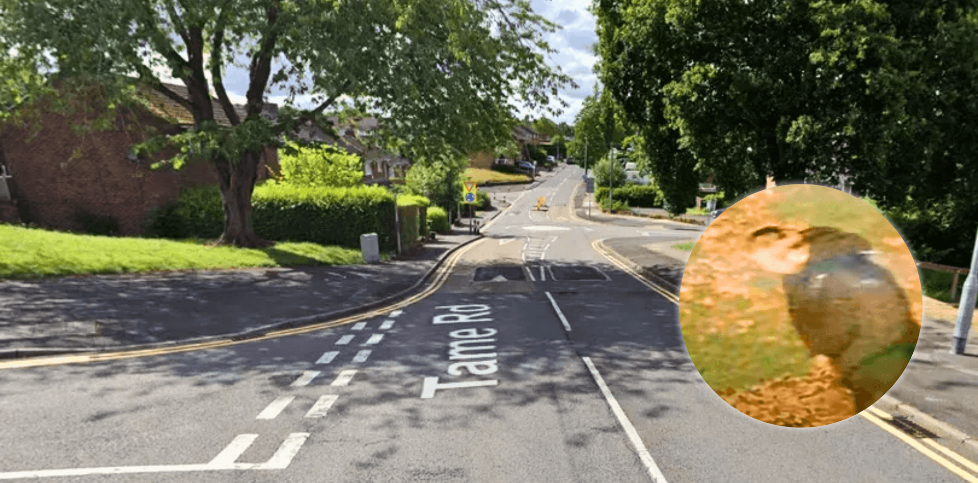 Indian-Origin Woman Raped in UK’s Walsall in ‘Racially Aggravated’ Attack