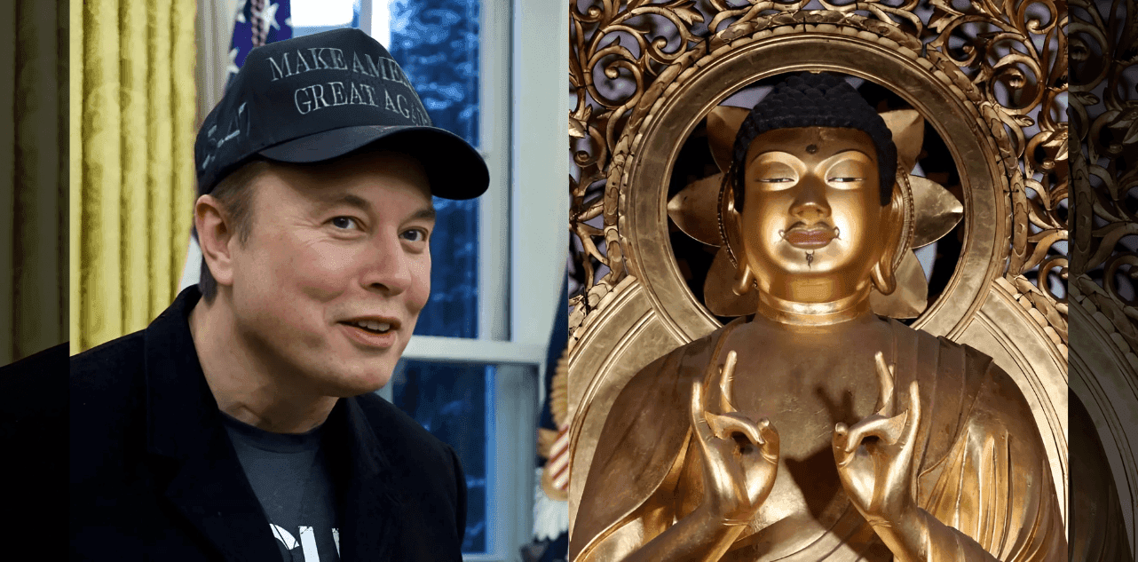 Elon Musk DOGE Department of Government Efficiency