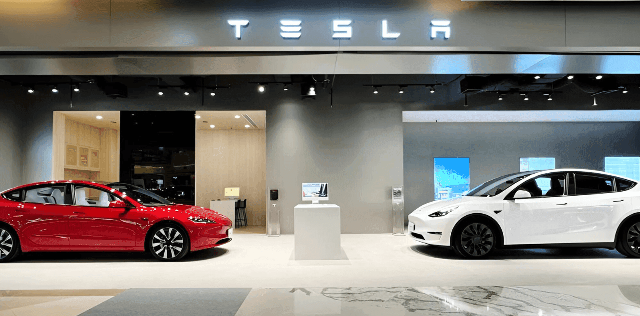 Tesla India launch