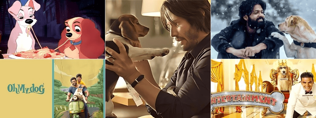 Timeless Dog Movies: Classic Films Featuring Our Furry Friends