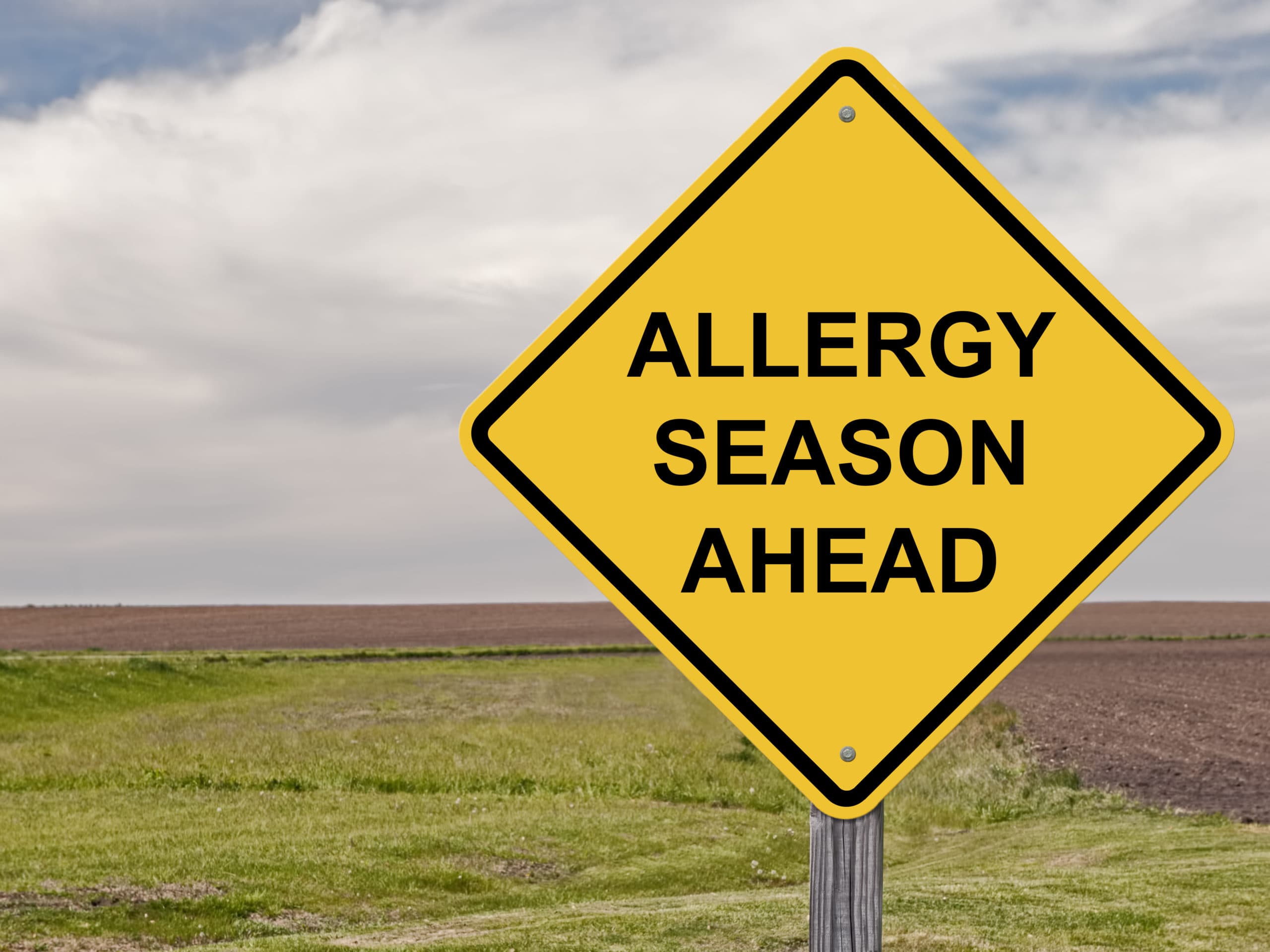 Surviving Allergy Season: A Simple Guide to Common Allergies