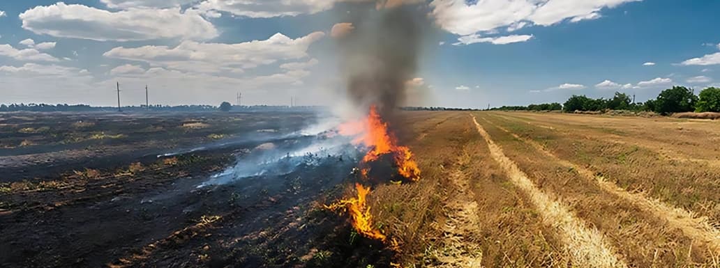 Stubble Burning Cases Continue to Rise in Punjab: Chandigarh in ‘Red Zone’