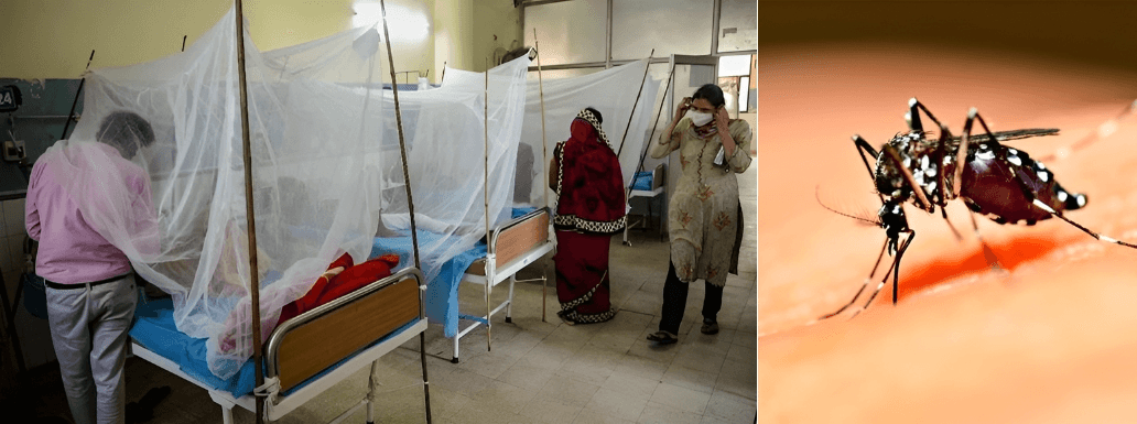 Patiala Faces Dengue Outbreak: 450+ Cases Reported