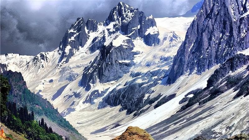 Special Vande Bharat Train