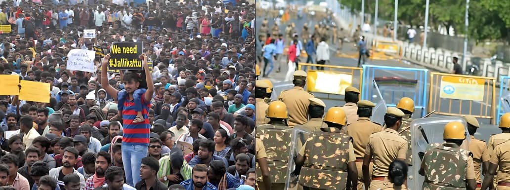 Jallikattu Case: What Supreme Court Said on Police Action During 2017 Jallikattu Protest